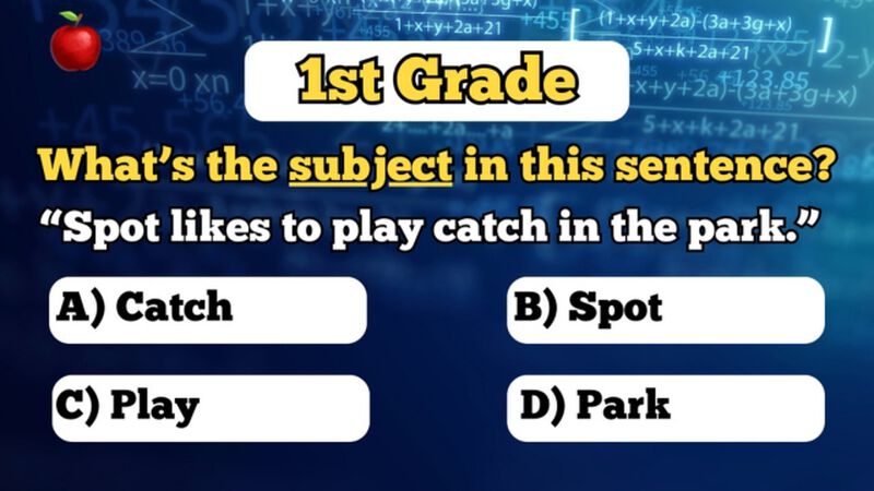 Are You Smarter Than a 12th Grader?